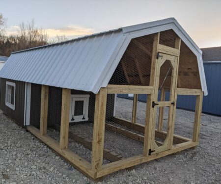 Backyard chicken coop with metal roof.