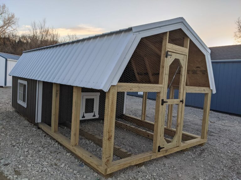 Backyard chicken coop with metal roof.